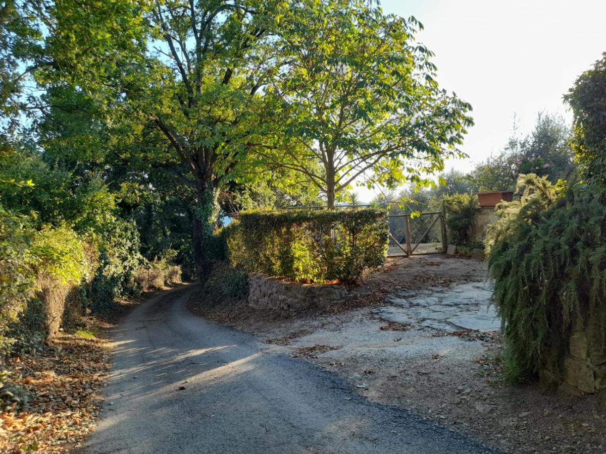 8380 Il Tiglio Verde Manciano Exterior foto